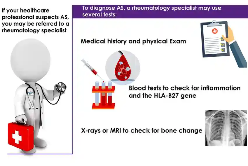 To diagnose AS,a rheumatology specialist may use several tests